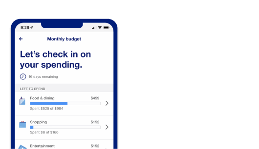 Spending category view in the U.S Bank app