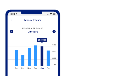 Money Tracker view in the U.S Bank app