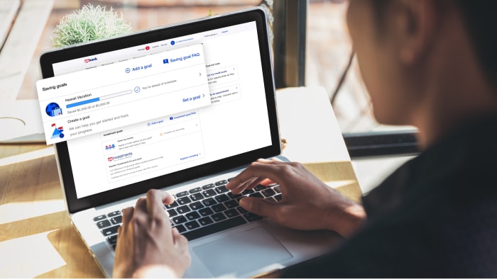 Person viewing goal progress in online banking