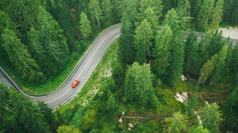 Electrical car driving through forest