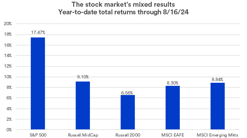 Chart depicts 2024 returns across a range of stock market indices through 8/16/2024.